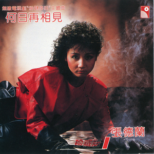 迪拜天体营3免费观看
