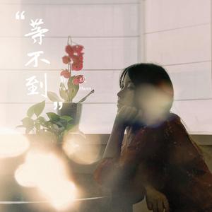 迪拜天体营3免费观看
