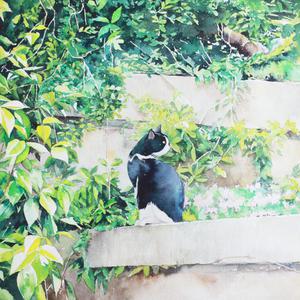 迪拜天体营3免费观看
