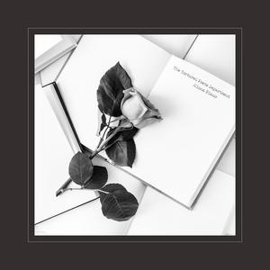 迪拜天体营3免费观看
